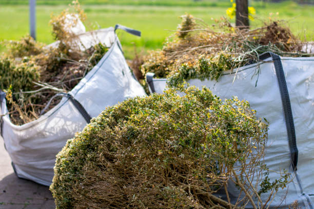 Best Estate Cleanout Services  in Nashville, GA